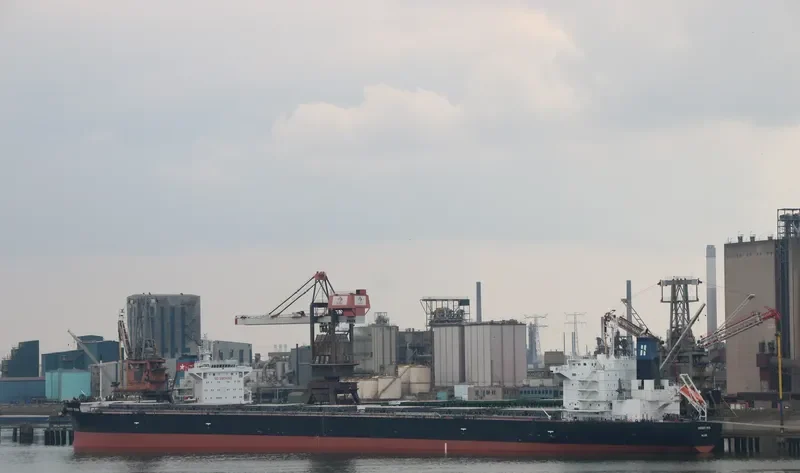 HARVEST RAIN Bulk Carrier IMO 9643893 photo 5