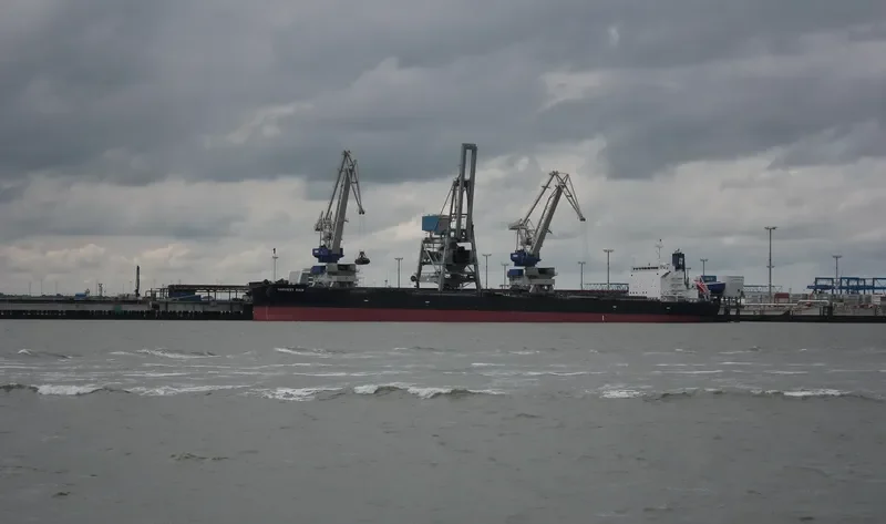 HARVEST RAIN Bulk Carrier IMO 9643893 photo 6
