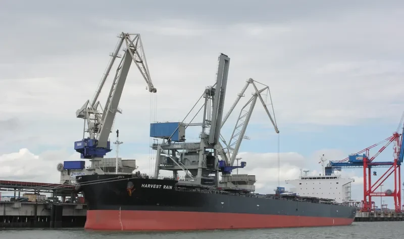 HARVEST RAIN Bulk Carrier IMO 9643893 photo 7