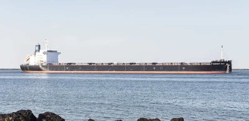 HARVEST RAIN Bulk Carrier IMO 9643893 photo 8