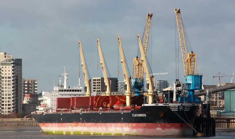 FLAG GANGOS Bulk Carrier IMO 9643908 photo 3