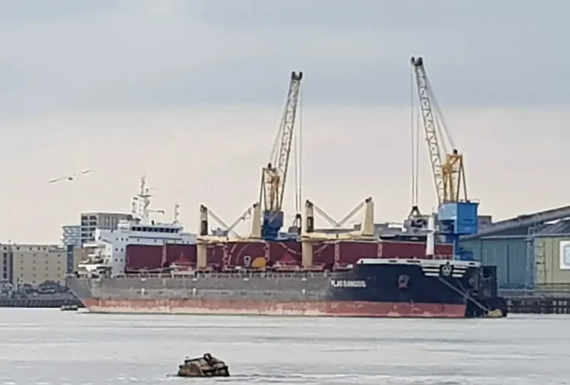 FLAG GANGOS Bulk Carrier IMO 9643908 photo 4
