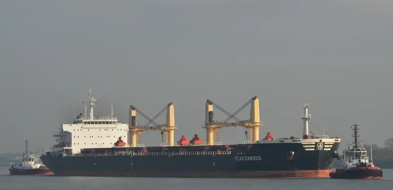 FLAG GANGOS Bulk Carrier IMO 9643908 photo 5