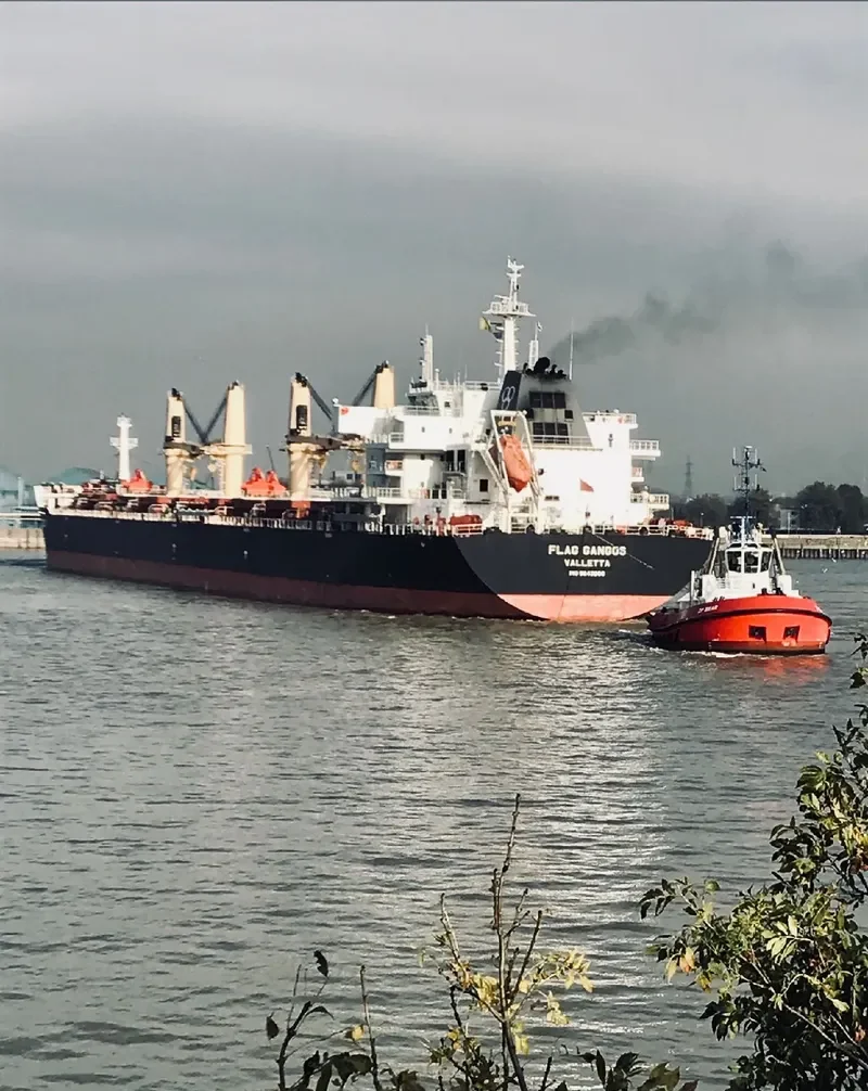 FLAG GANGOS Bulk Carrier IMO 9643908 photo 6