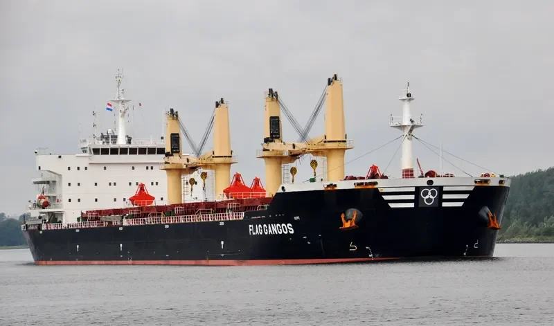 FLAG GANGOS Bulk Carrier IMO 9643908 photo 10