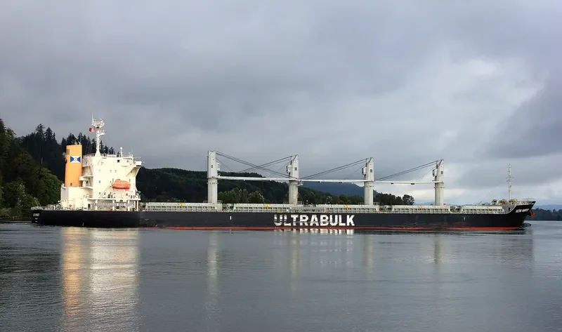 ULTRA VANSCOY Bulk Carrier IMO 9643958 photo 7