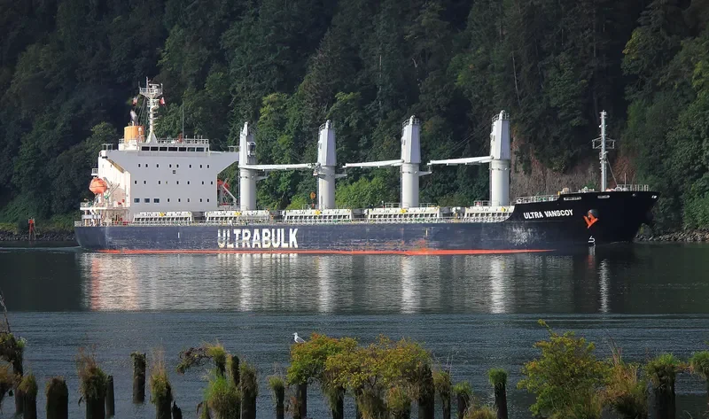 ULTRA VANSCOY Bulk Carrier IMO 9643958 photo 9