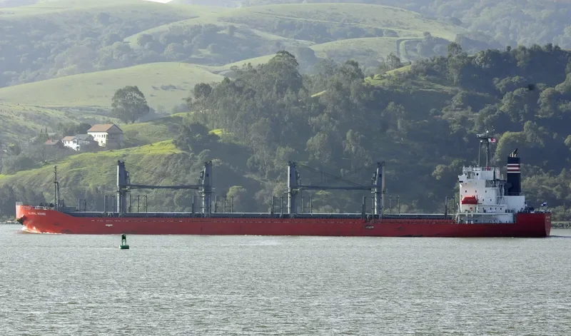 GLOBAL ROUND Bulk Carrier IMO 9644055 photo 6