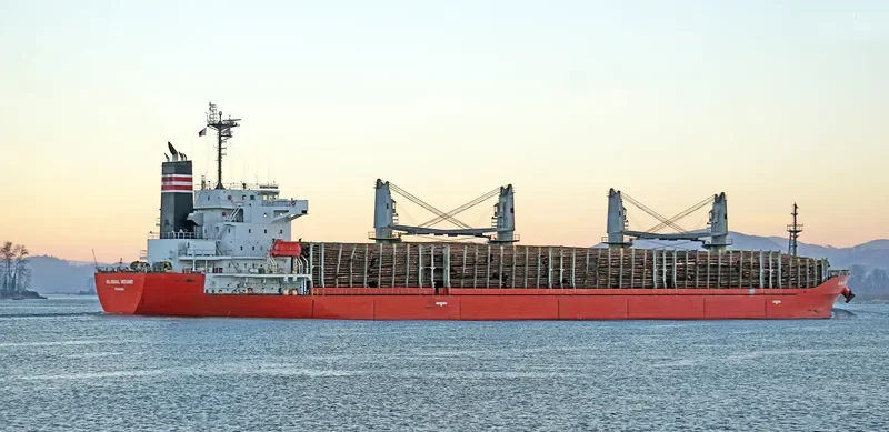 GLOBAL ROUND Bulk Carrier IMO 9644055 photo 9