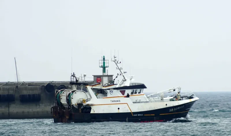 TARANIS General Cargo IMO 9644081