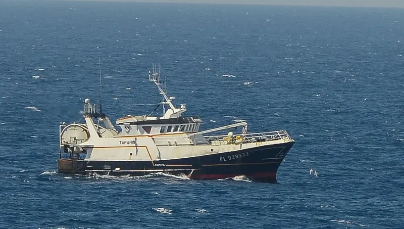 TARANIS General Cargo IMO 9644081 photo 4