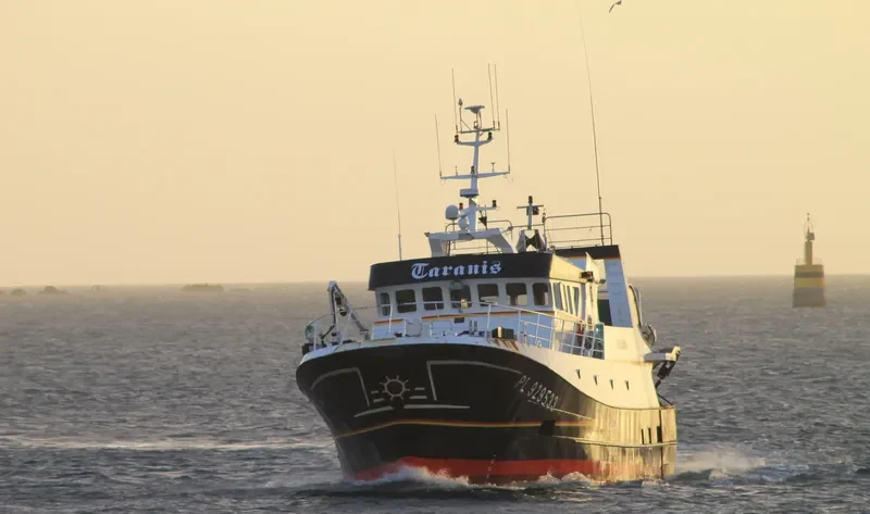 TARANIS General Cargo IMO 9644081 photo 5