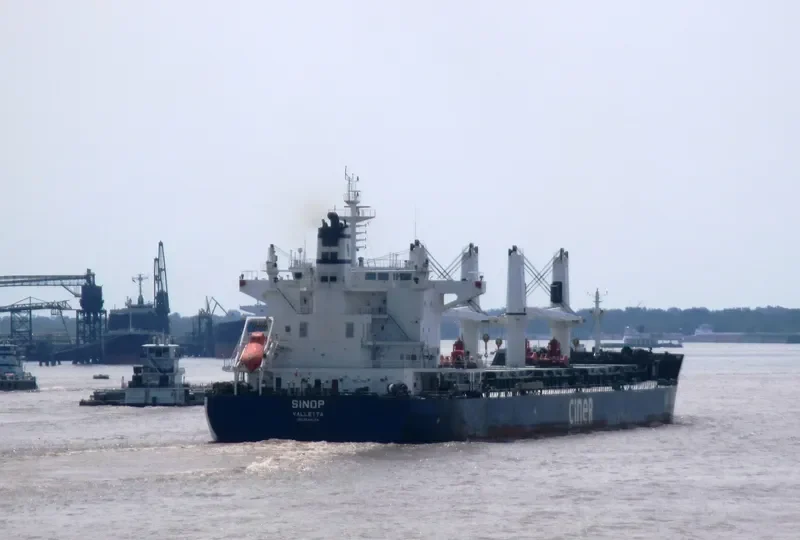 SINOP Bulk Carrier IMO 9644184