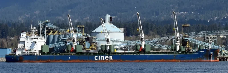 SINOP Bulk Carrier IMO 9644184 photo 2