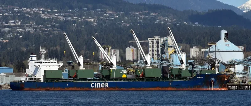 SINOP Bulk Carrier IMO 9644184 photo 3