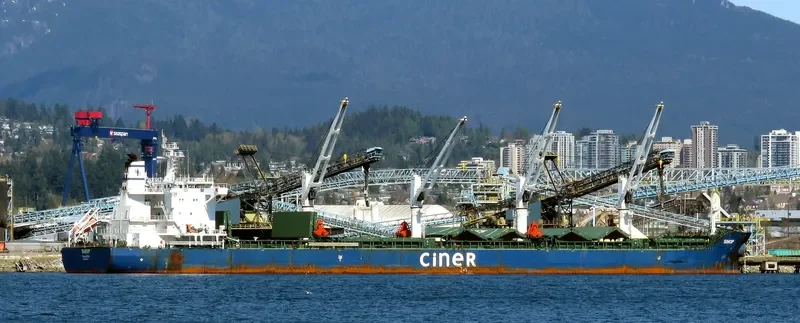 SINOP Bulk Carrier IMO 9644184 photo 5