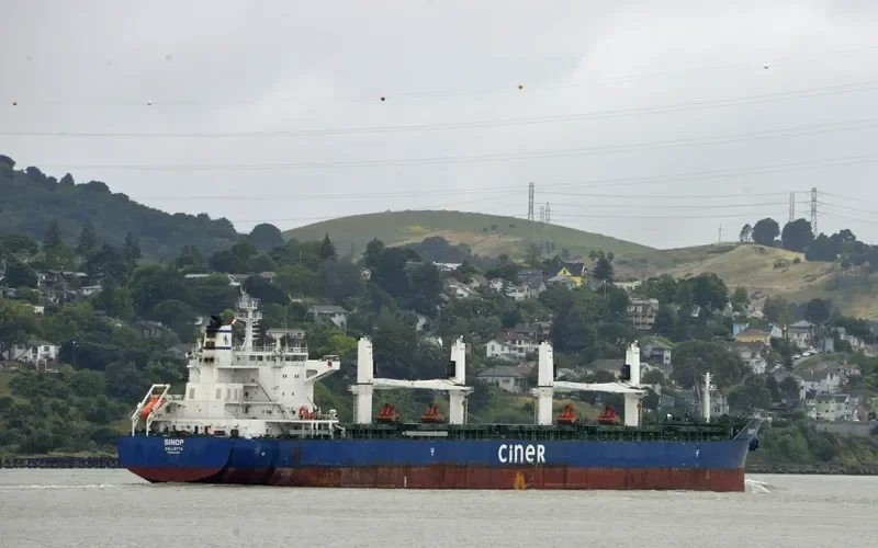 SINOP Bulk Carrier IMO 9644184 photo 6