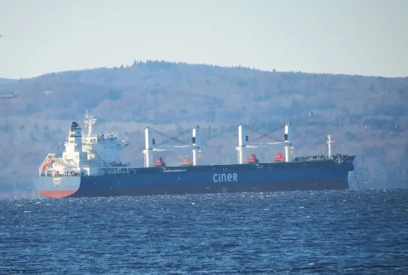 SINOP Bulk Carrier IMO 9644184 photo 9