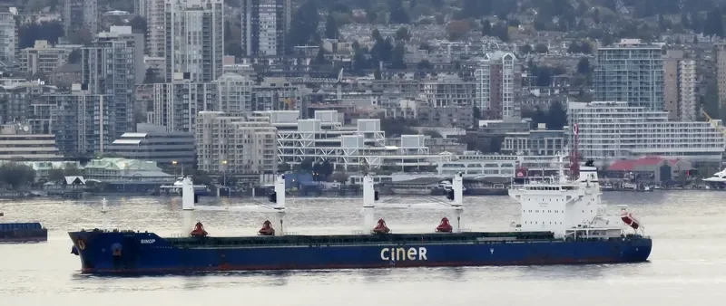 SINOP Bulk Carrier IMO 9644184 photo 10