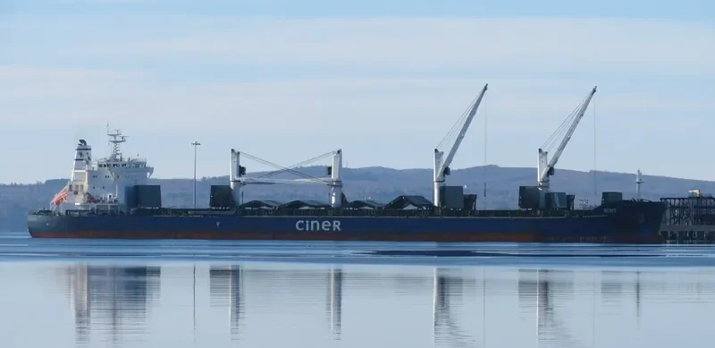 SIIRT Bulk Carrier IMO 9644196