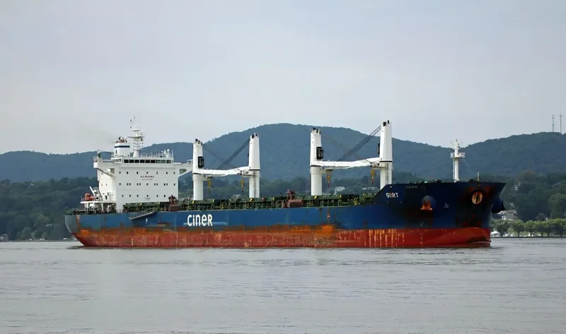 SIIRT Bulk Carrier IMO 9644196 photo 2