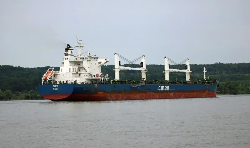 SIIRT Bulk Carrier IMO 9644196 photo 3