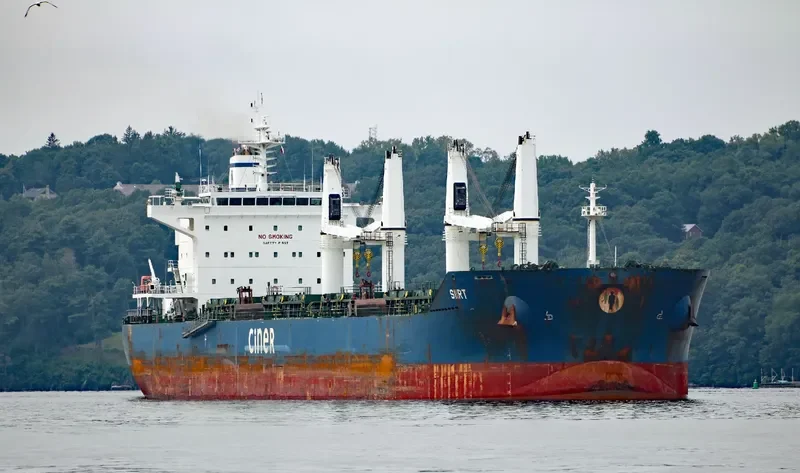 SIIRT Bulk Carrier IMO 9644196 photo 4