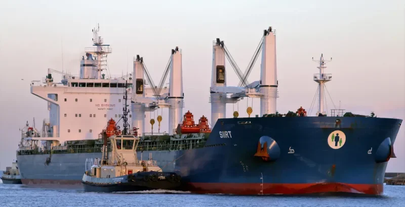 SIIRT Bulk Carrier IMO 9644196 photo 5