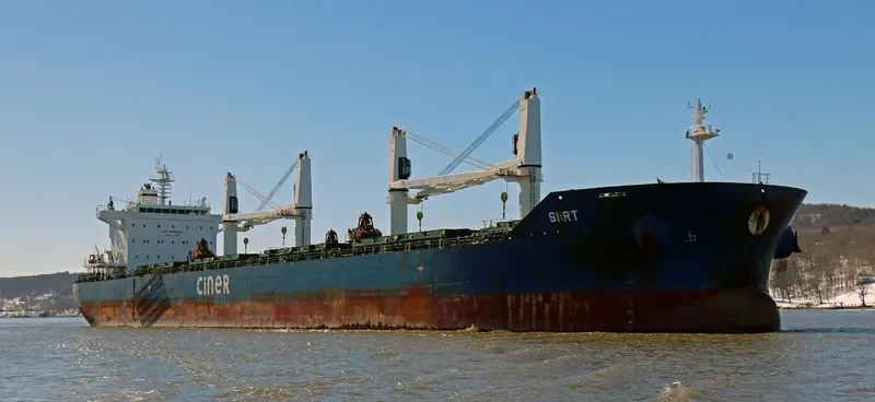 SIIRT Bulk Carrier IMO 9644196 photo 6