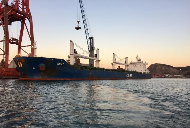 SIIRT Bulk Carrier IMO 9644196 photo 7