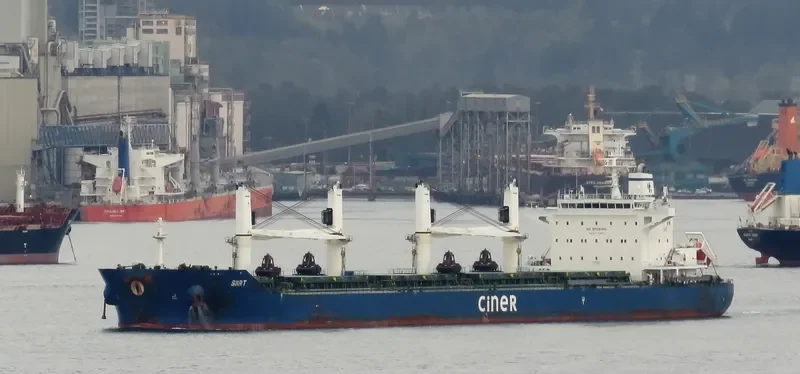 SIIRT Bulk Carrier IMO 9644196 photo 8