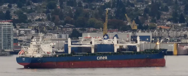 SIIRT Bulk Carrier IMO 9644196 photo 9