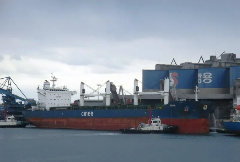 IZMIR Bulk Carrier IMO 9644201 photo 2