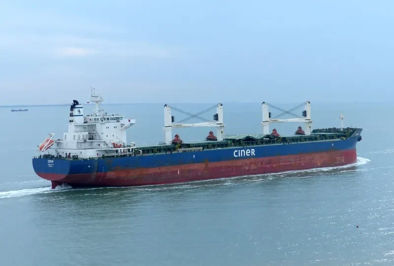 IZMIR Bulk Carrier IMO 9644201 photo 8