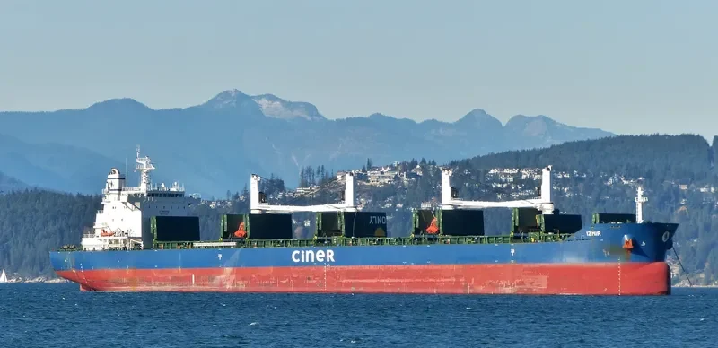 IZMIR Bulk Carrier IMO 9644201 photo 9