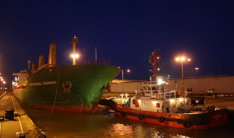 TRANSOCEAN Bulk Carrier IMO 9644251 photo 4