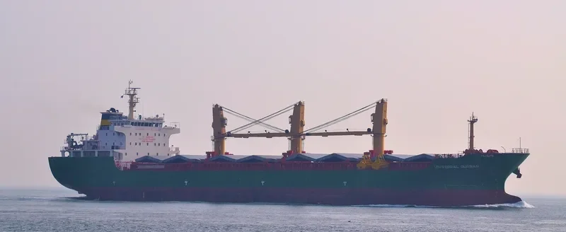 TRANSOCEAN Bulk Carrier IMO 9644251 photo 5