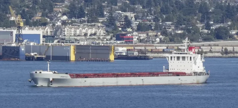 LEGATO II Bulk Carrier IMO 9644304 photo 3