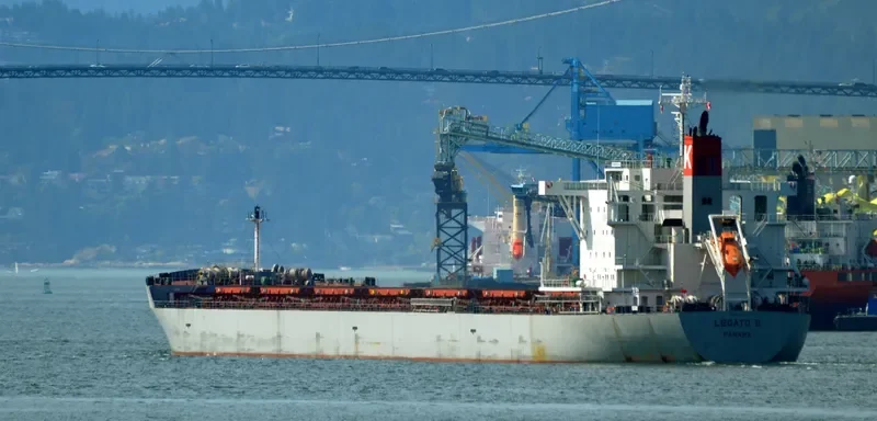 LEGATO II Bulk Carrier IMO 9644304 photo 4