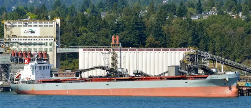 LEGATO II Bulk Carrier IMO 9644304 photo 5