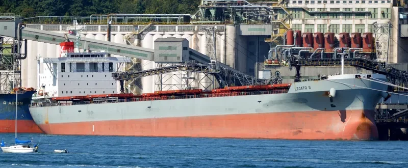 LEGATO II Bulk Carrier IMO 9644304 photo 6