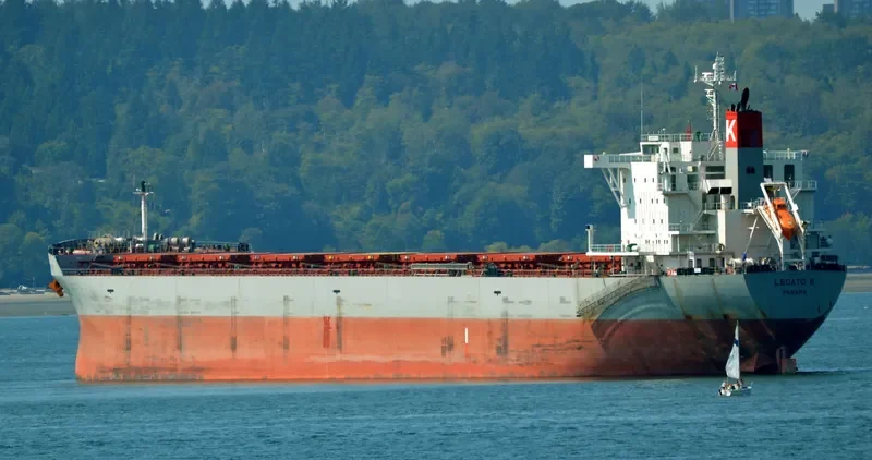 LEGATO II Bulk Carrier IMO 9644304 photo 7