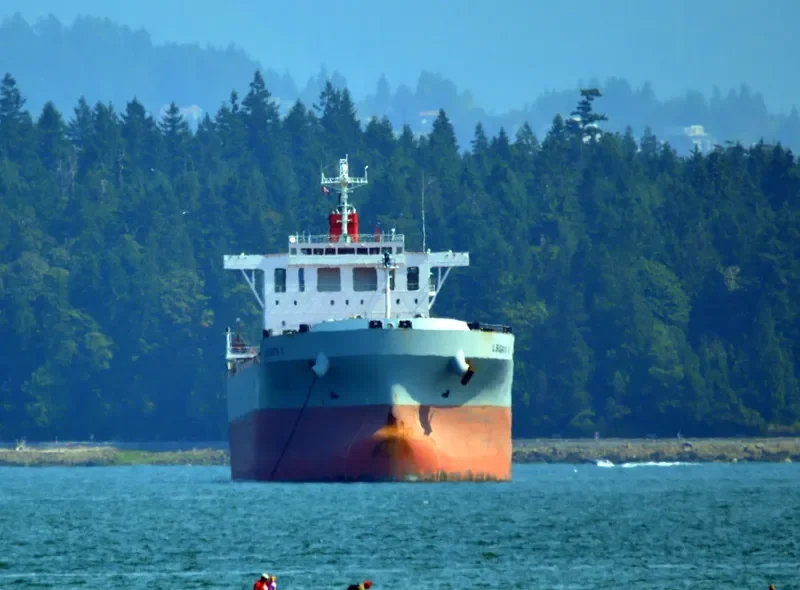 LEGATO II Bulk Carrier IMO 9644304 photo 8