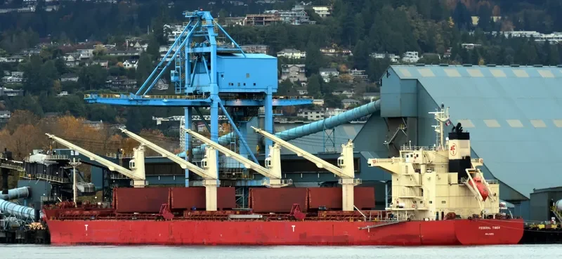 FEDERAL TIBER Bulk Carrier IMO 9644483 photo 2