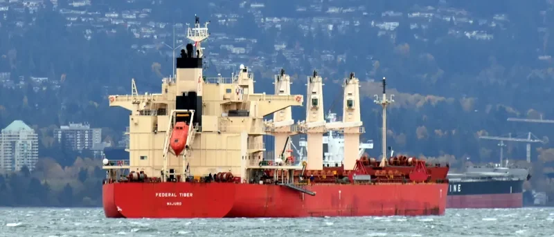 FEDERAL TIBER Bulk Carrier IMO 9644483 photo 3