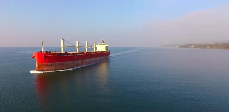 FEDERAL TIBER Bulk Carrier IMO 9644483 photo 7