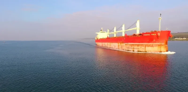 FEDERAL TIBER Bulk Carrier IMO 9644483 photo 8