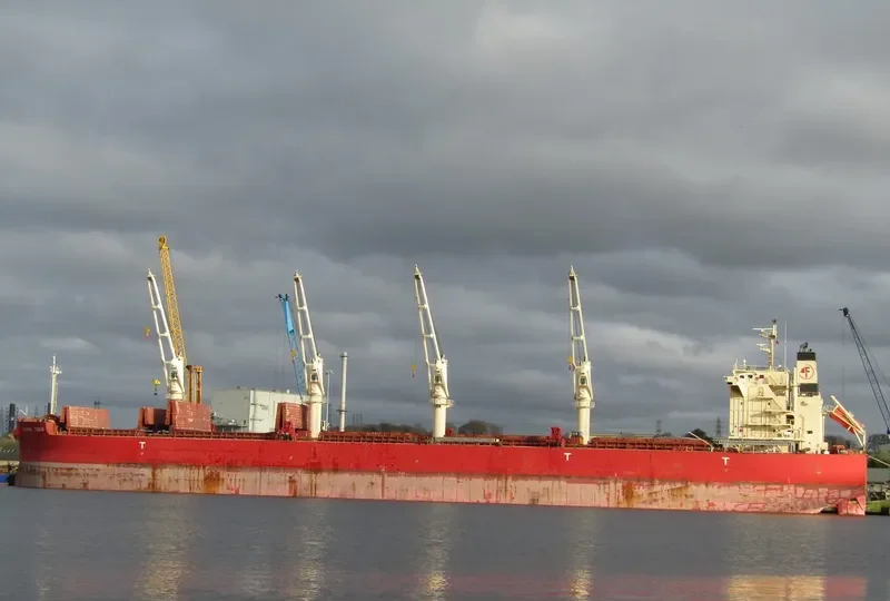 FEDERAL TIBER Bulk Carrier IMO 9644483 photo 9