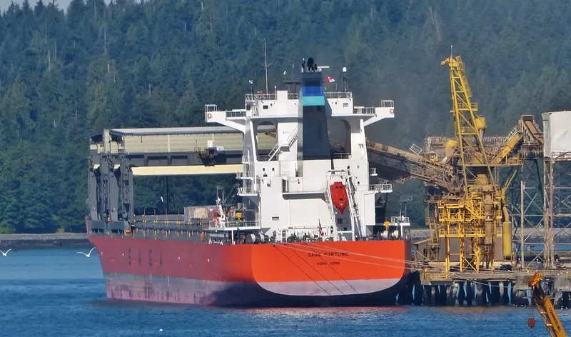 SAGA FORTUNE General Cargo IMO 9644524 photo 3