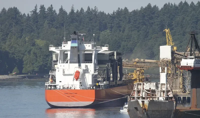 SAGA FORTUNE General Cargo IMO 9644524 photo 5